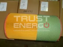 Фильтр воздушный BF4M1013FC/Air filter