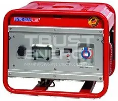 Бензиновый генератор Endress ESE 306 SG-GT Duplex