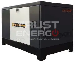 Газовый генератор Genese Pro 12000 Neva кожухе с АВР