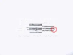 Распылитель форсунки TDL 19 2L/Nozzle