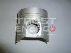 Поршень для Y 4100 Q (Д=100мм)(Piston for Y 4100 Q,Y4100Q-04005) 