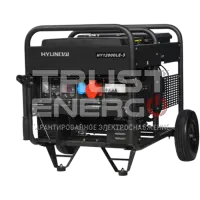 Бензиновый генератор Hyundai HY 12000LE-3 с АВР Открытая на раме Hyundai  trustenergo.ru
