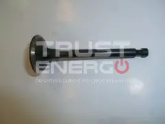 Kipor Клапан выпускной KG390/Exhaust valve ТРАСТ-ЭНЕРГО Клапан выпускной KG390/Exhaust valve ТРАСТ-ЭНЕРГО