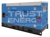 Дизельный генератор ТСС АД-12С-230-1РКМ5