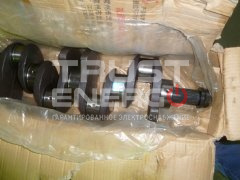 Вал коленчатый TDQ 38 4L/Crankshaft Assy ТРАСТ-ЭНЕРГО